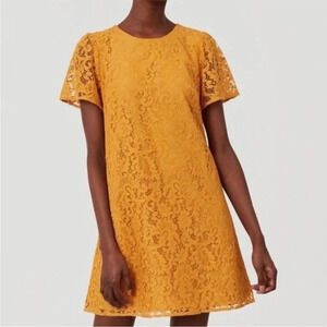 LOFT Mustard Yellow Lace Short Sleeve Shift Dress Size 8